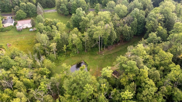 Sherwood Dr, Wattsburg Boro, PA 16442 - photo 12