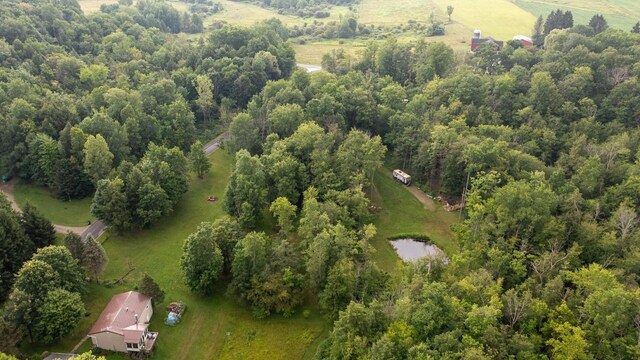 Sherwood Dr, Wattsburg Boro, PA 16442 - photo 8