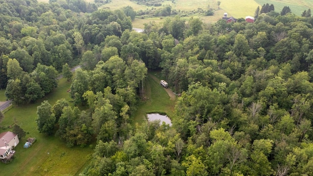 Sherwood Dr, Wattsburg Boro, PA 16442 - photo 9