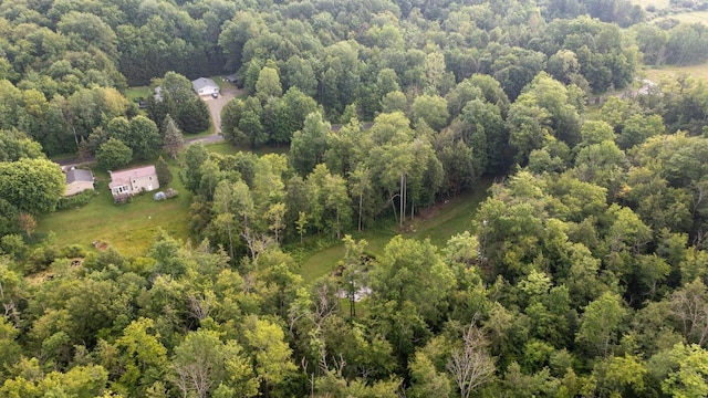 Sherwood Dr, Wattsburg Boro, PA 16442 - photo 11