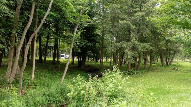 Sherwood Dr, Wattsburg Boro, PA 16442 - photo 16
