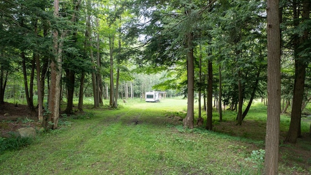 Sherwood Dr, Wattsburg Boro, PA 16442 - photo 1