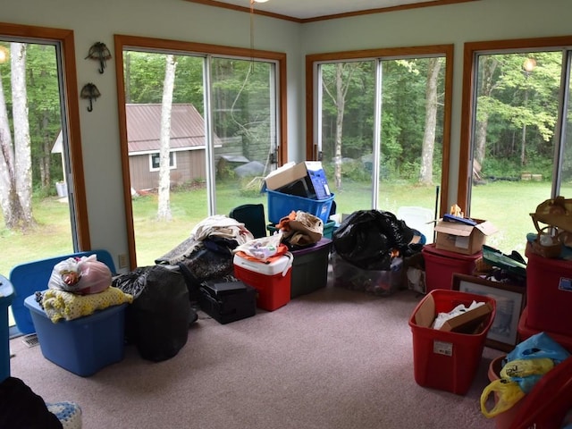 15897 Thompson Rd, Conneautville, PA 16406 - photo 21