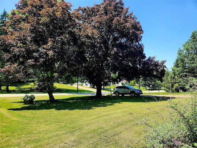 6495 Veit Dr, Erie, PA 16509 - photo 22