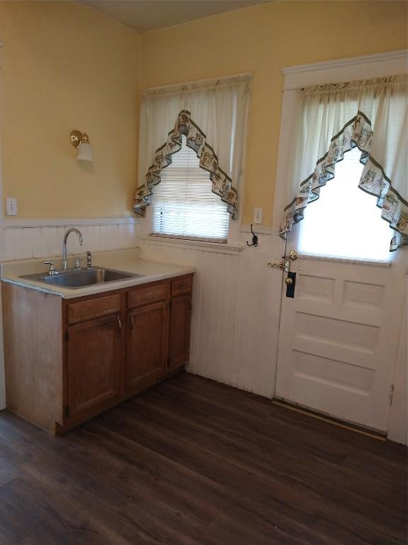 kitchen with dark hardwood / wood-style flooring and sink