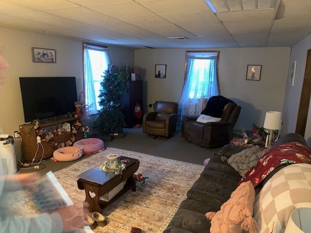 living room with plenty of natural light