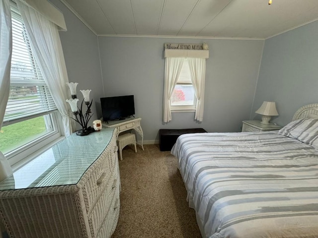 carpeted bedroom with crown molding