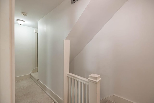 1047 Napier Ave, Erie, PA 16511 - staircase featuring carpet flooring and baseboards