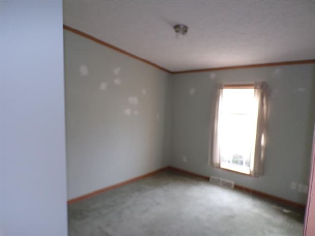 empty room with carpet floors and ornamental molding