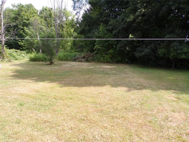 11898 Neiger Rd, Girard, PA 16417 - view of grassy yard