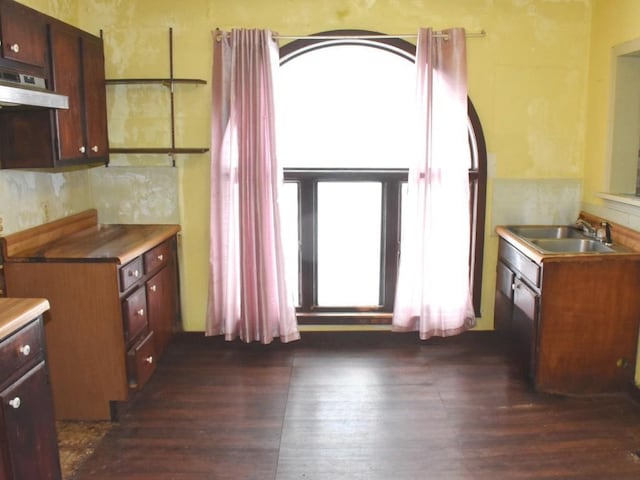 kitchen with dark wood-style floors, under cabinet range hood, and a sink