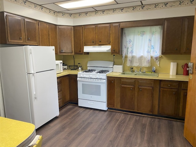 kitchen featuring dark hardwood / wood-style flooring, sink, and white appliances