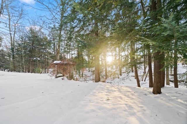 view of yard layered in snow