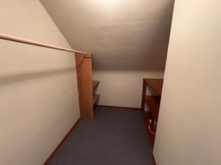 walk in closet with dark carpet and vaulted ceiling