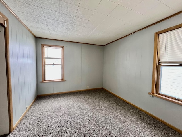 unfurnished room featuring crown molding and carpet floors