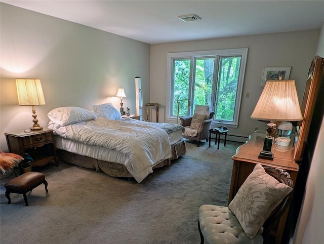 5441 Thomas Rd, Fairview, PA 16415 - carpeted bedroom featuring a baseboard radiator