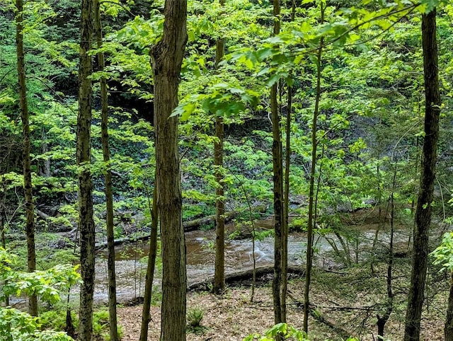 5441 Thomas Rd, Fairview, PA 16415 - water view with a heavily wooded area