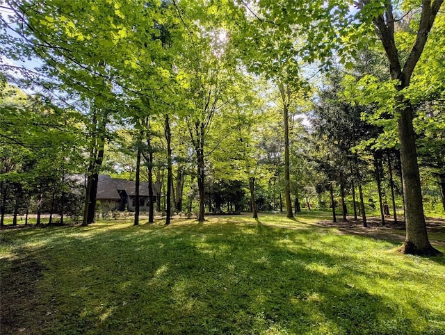5441 Thomas Rd, Fairview, PA 16415 - view of grassy yard