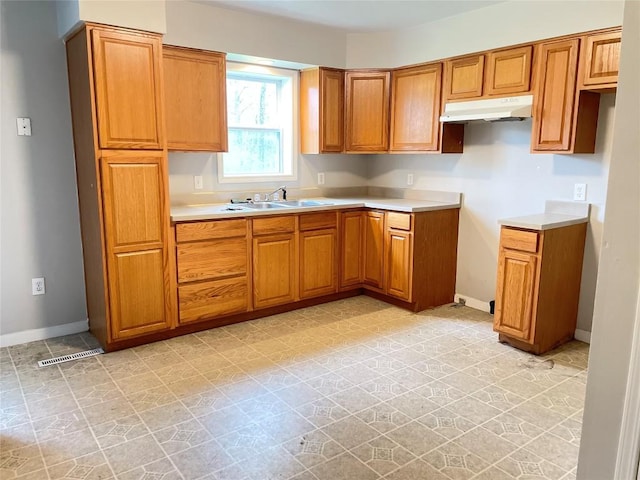 2517 Mccain Ave, Erie, PA 16510 - kitchen with under cabinet range hood, a sink, and brown cabinetry
