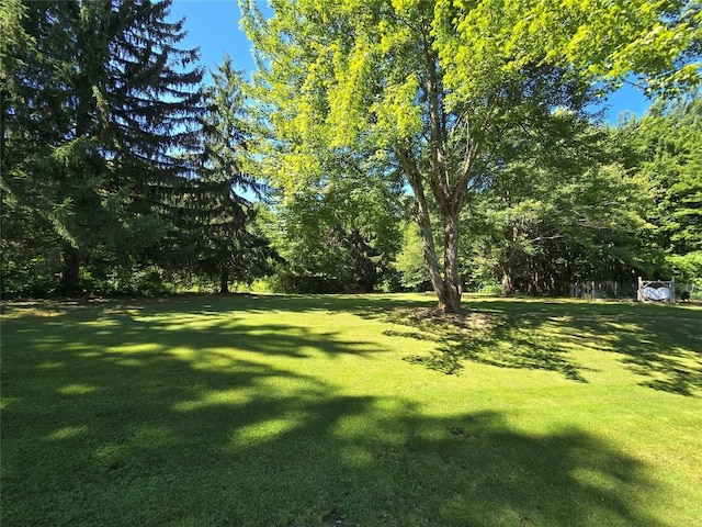 8450 Lake Pleasant Rd, Erie, PA 16509 - photo 34