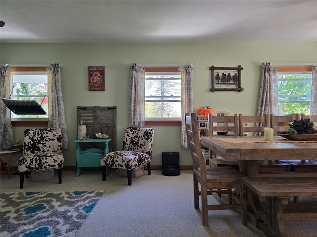8450 Lake Pleasant Rd, Erie, PA 16509 - photo 11