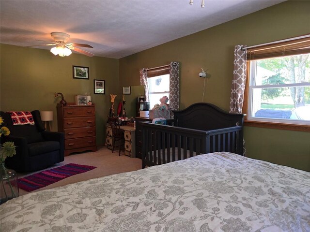 8450 Lake Pleasant Rd, Erie, PA 16509 - photo 15