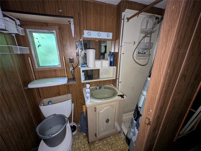 12838 Reed Ave, Conneaut Lake, PA 16316 - bathroom featuring toilet, vanity, and wood walls