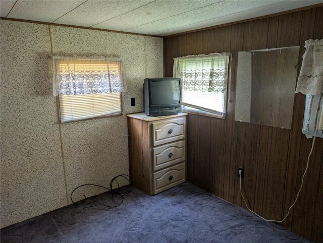 12838 Reed Ave, Conneaut Lake, PA 16316 - unfurnished bedroom featuring carpet flooring and wood walls