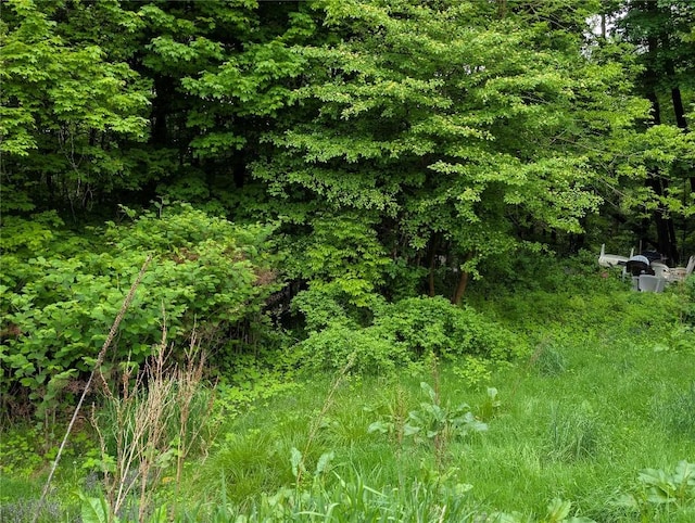12838 Reed Ave, Conneaut Lake, PA 16316 - view of local wilderness