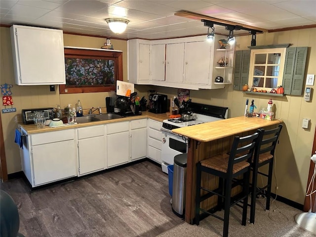 kitchen featuring white cabinetry, white gas stove, dark wood-type flooring, and sink