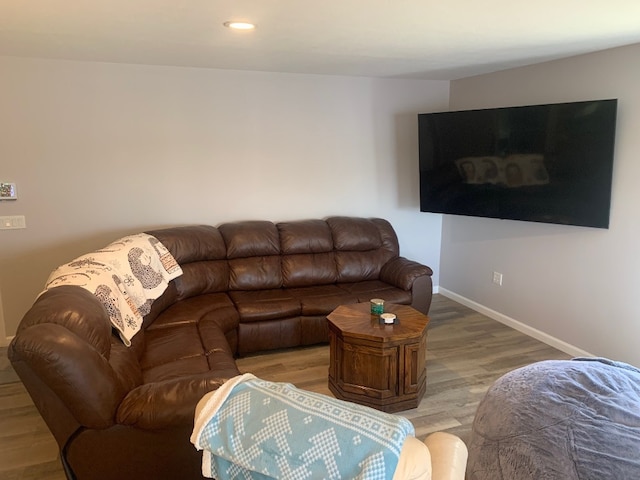 11148 Aldina Dr, Conneaut Lake, PA 16316 - living area with recessed lighting, light wood-type flooring, and baseboards