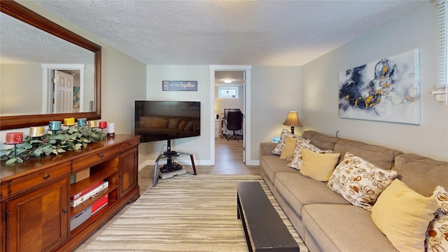 1450 Nicholson St, Erie, PA 16509 - living room featuring a textured ceiling and light wood finished floors