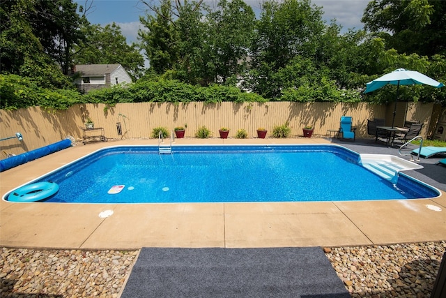 1450 Nicholson St, Erie, PA 16509 - view of swimming pool with a patio area and a fenced backyard