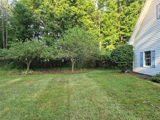1344 Erie St, Saegertown, PA 16433 - photo 24