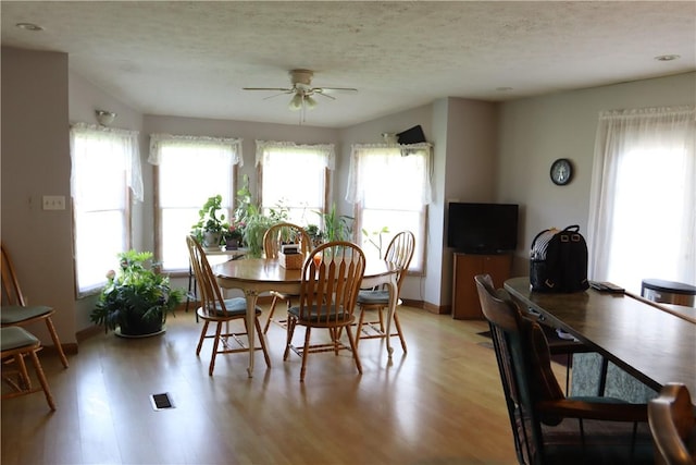 dining room with a textured ceiling, light wood-type flooring, a wealth of natural light, and ceiling fan