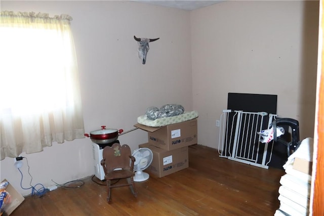 miscellaneous room featuring dark hardwood / wood-style flooring