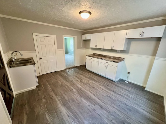 1121 E 27th St, Erie, PA 16504 - kitchen featuring a sink, a textured ceiling, white cabinets, dark wood-style floors, and a wainscoted wall