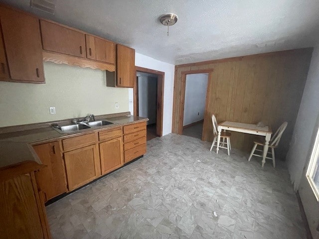 kitchen with sink, wood walls, and a textured ceiling