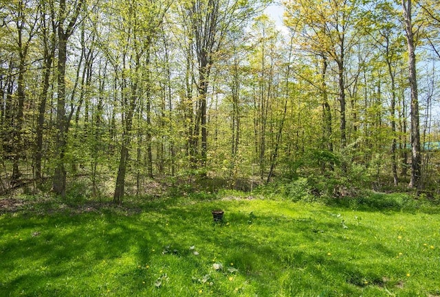 9170 Storey Rd, North East, PA 16428 - view of woods