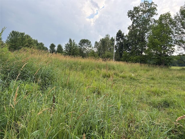 97499801 Moses Rd, Springboro, PA 16435 - photo 3