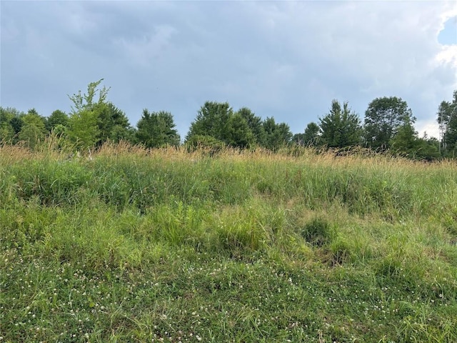 97499801 Moses Rd, Springboro, PA 16435 - photo 5