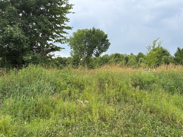 97499801 Moses Rd, Springboro, PA 16435 - photo 4