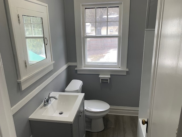 bathroom featuring vanity, hardwood / wood-style floors, and toilet