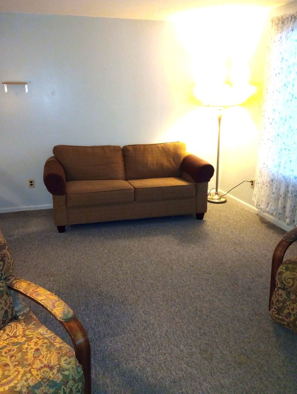 living room featuring carpet floors