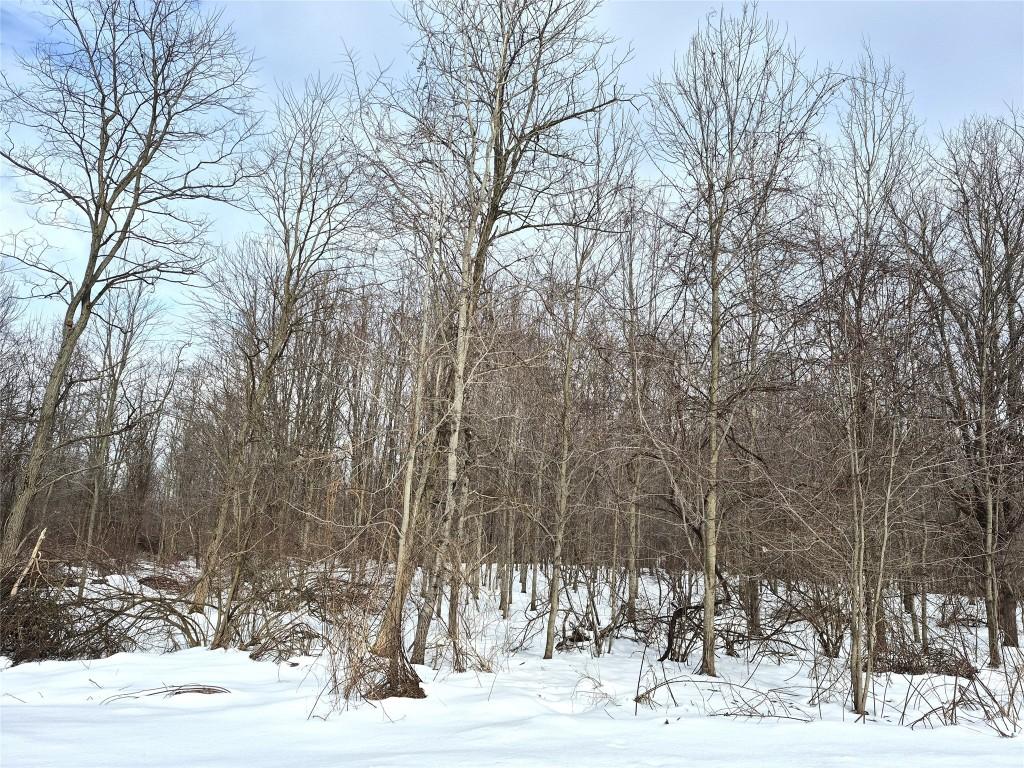 LOT3 Biscoff Rd, Albion, PA 16401 - photo 2