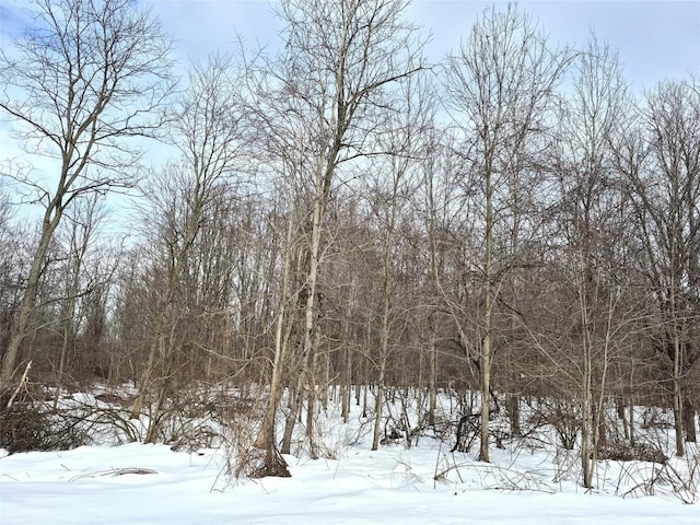 LOT3 Biscoff Rd, Albion, PA 16401 - photo 2