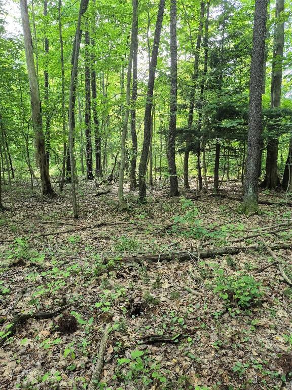 LOT3 Biscoff Rd, Albion, PA 16401 - photo 1