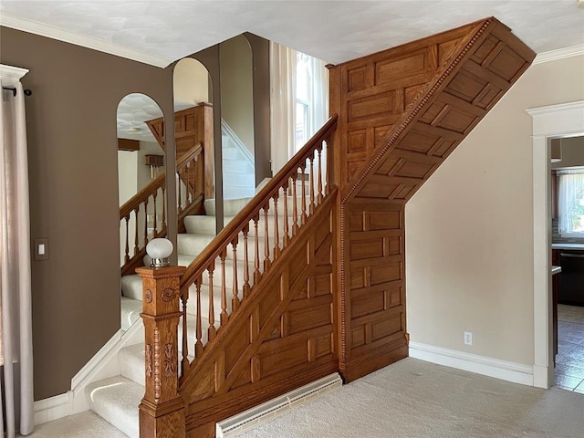 staircase featuring ornamental molding and carpet