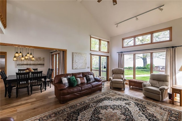 living room featuring wood-type flooring, rail lighting, high vaulted ceiling, and a chandelier