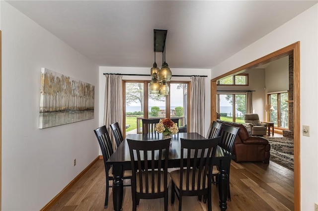 dining room with hardwood / wood-style floors